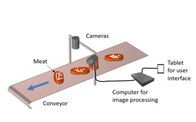 SC wins USDA SBIR Phase III Funding to Develop a Rapid Real-time Image Analysis Tool for Meat Quality Monitoring